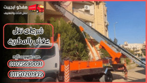 شركات نقل عفش بالمطرية