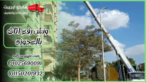 ونش رفع اثاث بالعجوزة